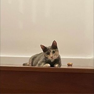 Meet your Posher, Trudi